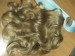 tmavá blond8.jpg